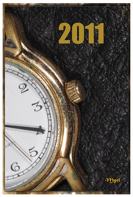 Calendar 2011: cover