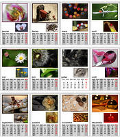 Calendar 2011: pages