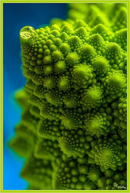 Romanesco Mountain